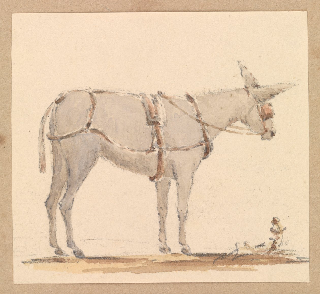 Studie af et æsel med hovedtøj og seletøj, ca. 1820 (blyant med brun og grå vask på papir) af Thomas Streatfeild