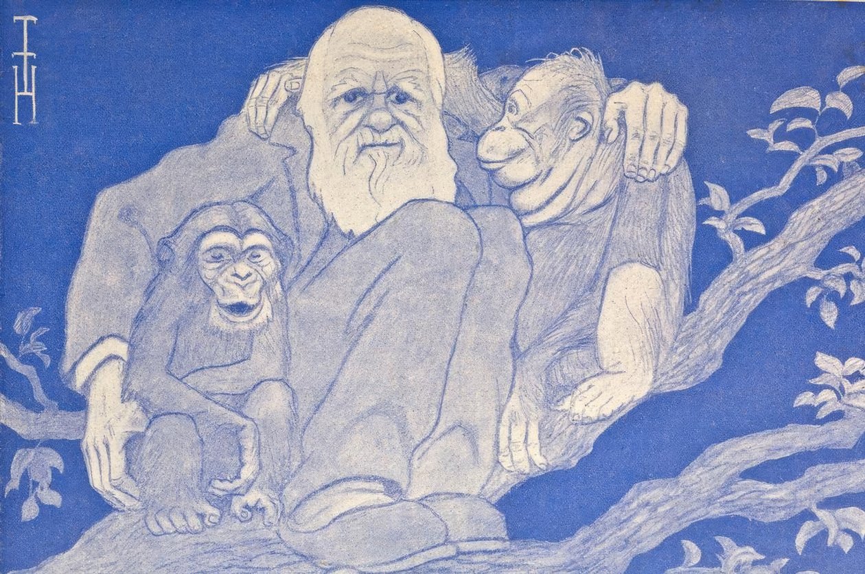 Tegnefilm Darwin fra 1909 med abedetaljer af Thomas Theodor Heine