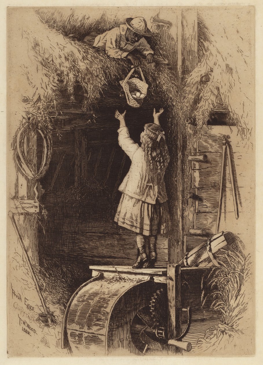 Friske æg af Thomas Waterman Wood