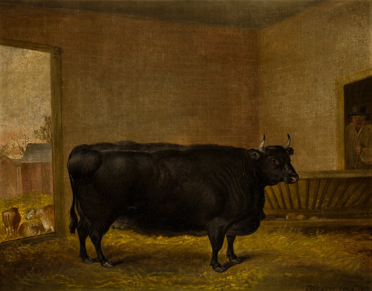A Prize Bull: A Fat Kerry Cow, ca. 1819 (olie på lærred) af Thomas Weaver