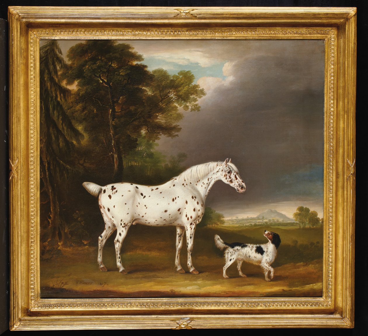 Appaloosa Horse and spaniel, 1807dani af Thomas Weaver