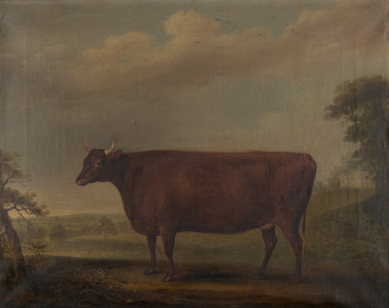 Røde Devon-kvier i landskab, ca. 1812 (olie på lærred) af Thomas Weaver