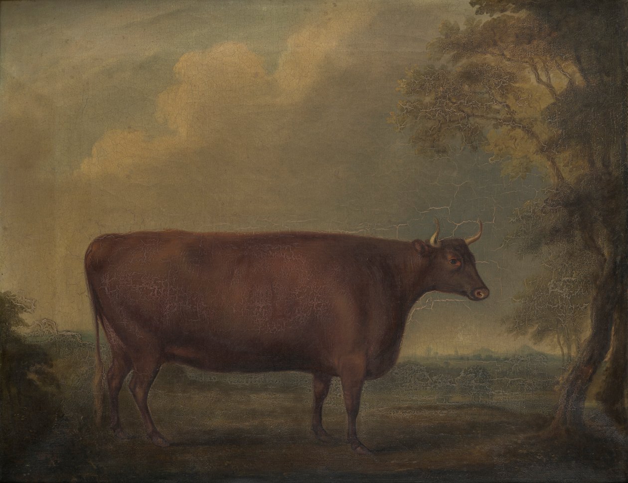 Røde Devon-kvier i landskab, ca. 1812 (olie på lærred) af Thomas Weaver
