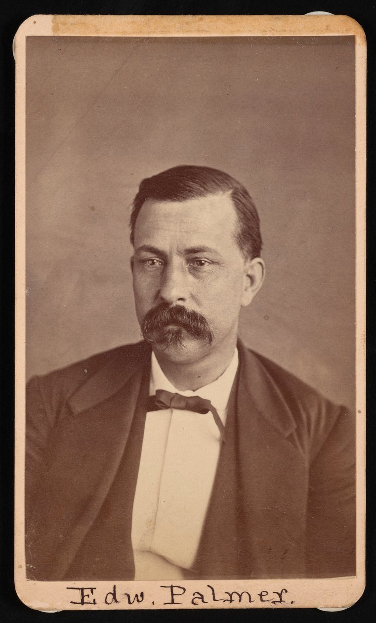 Portræt af Edward Palmer 1829-1911, før 1900. af Thomas William Smillie