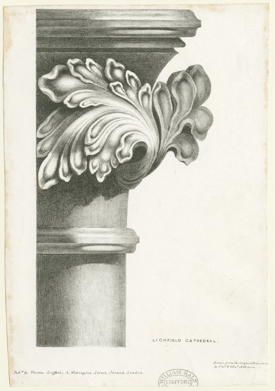 Interiør af Lichfield Cathedral - Udskåret løv: litografi og [? 19. århundrede] (tryk) af Thomas Witlam Atkinson