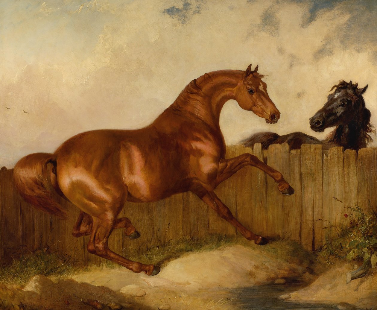 Hingst og hoppe (olie på lærred) af Thomas Woodward