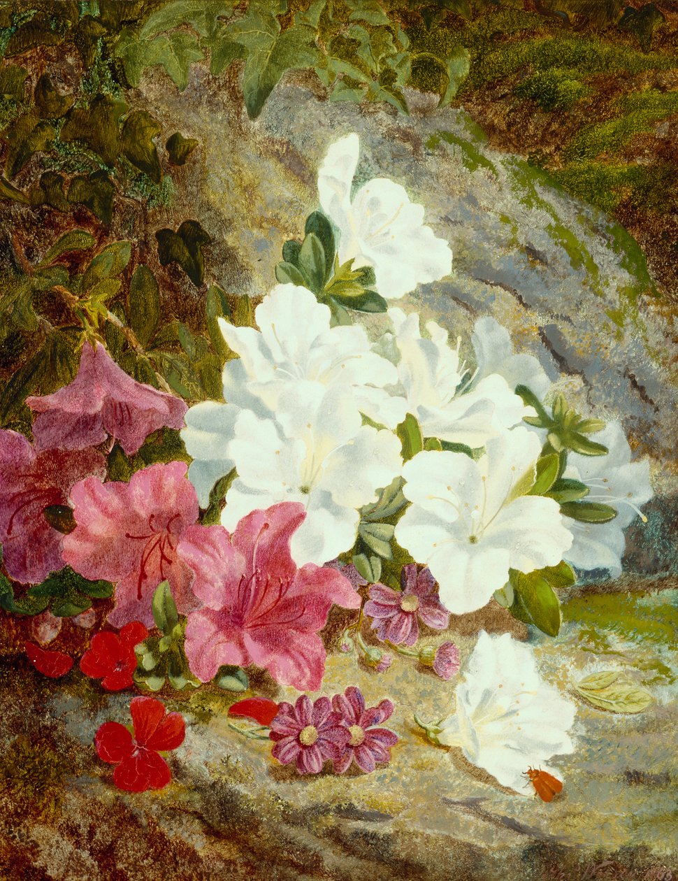 Azalea (olie på lærred) af Thomas Worsey
