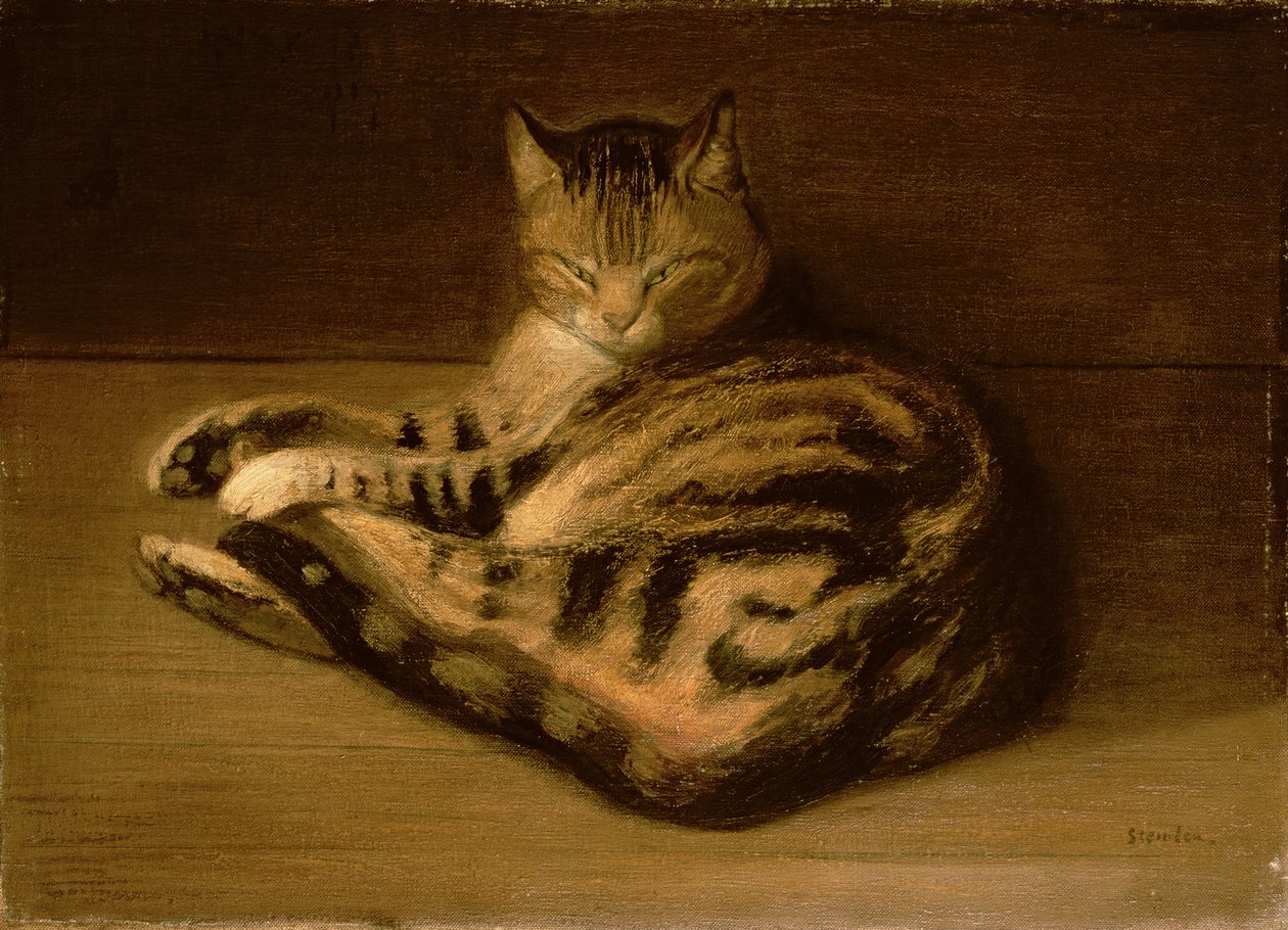 Liggende kat, 1898 af Théophile Alexandre Steinlen