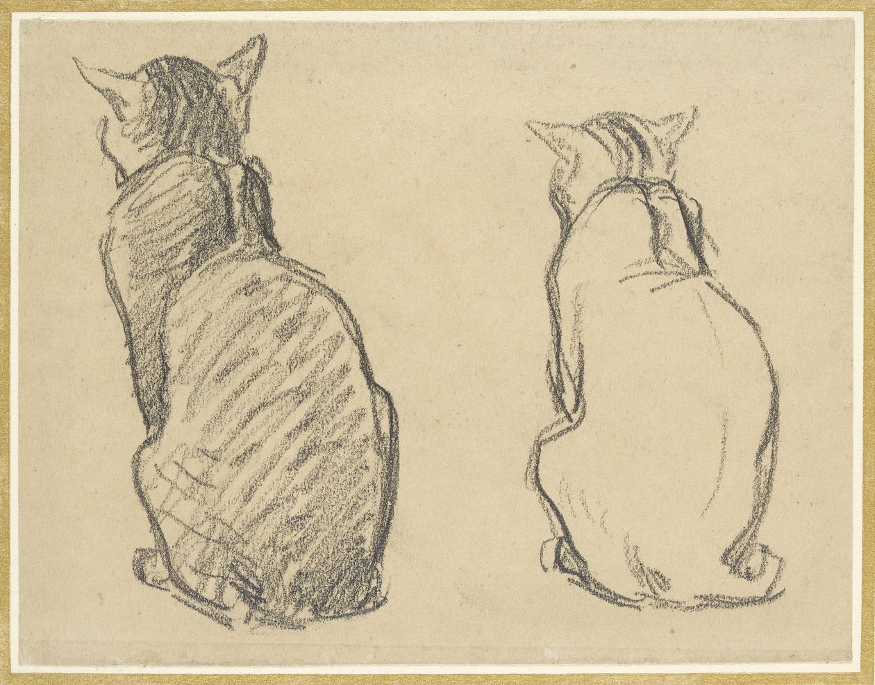 To undersøgelser af en kat (grafit på misfarvet vævet papir) af Théophile Alexandre Steinlen