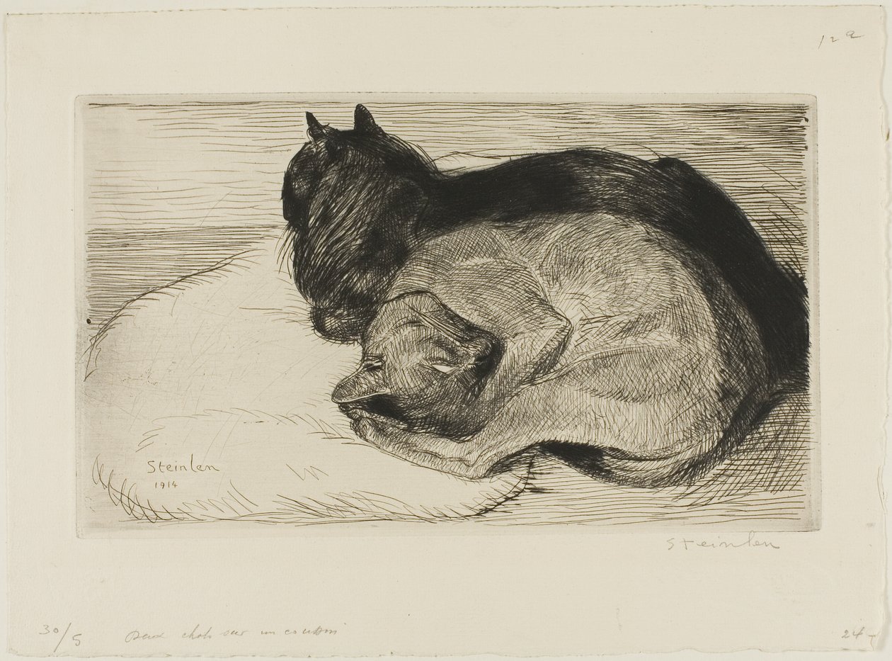 To katte på en pude af Théophile Alexandre Pierre Steinlen