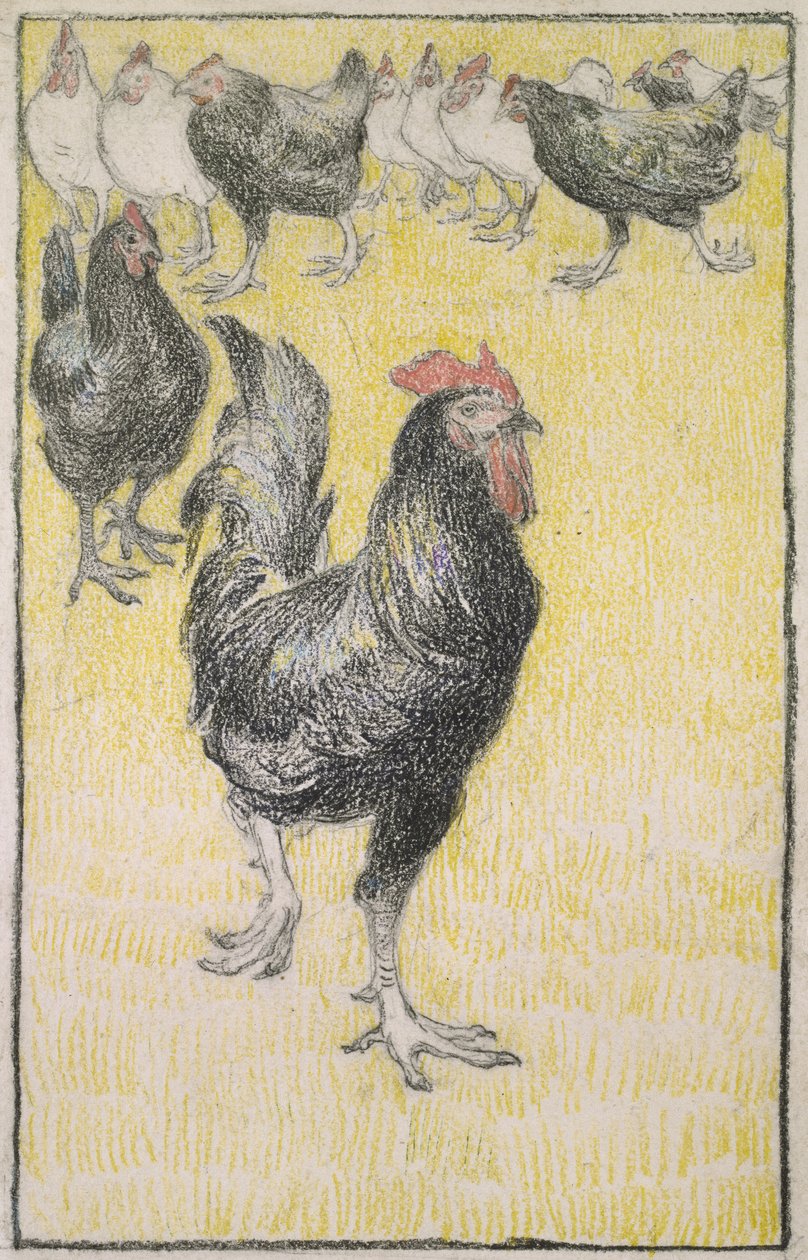 Hane, efterfulgt af sorte og hvide høns (grafit med sort og farvet kridt på hvidt papir, kantet med en streg i sort kridt) af Théophile Alexandre Steinlen