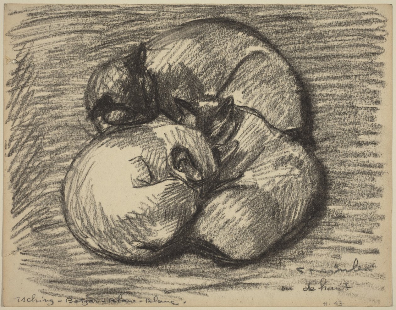 Kattene: Tsching, Batzar og Blanc-Blanc af Théophile Alexandre Steinlen