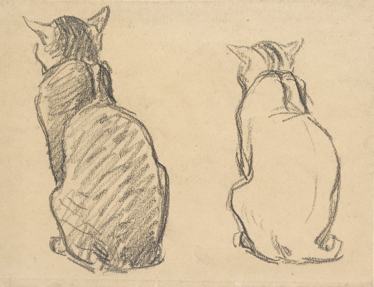 To undersøgelser af en kat, begyndelsen af det 20. århundrede af Théophile Alexandre Steinlen