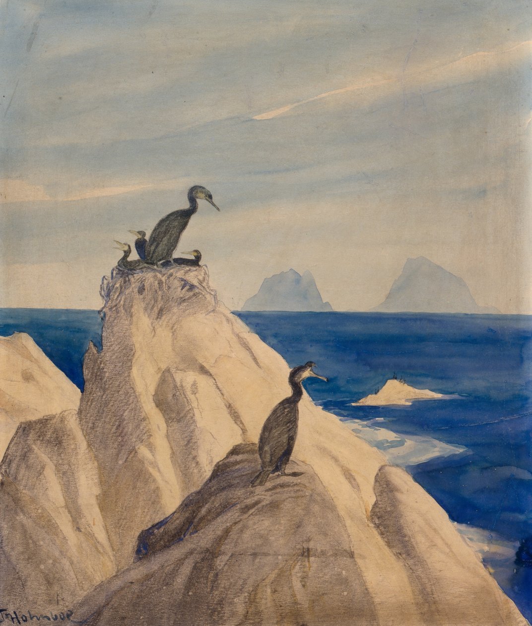 Northern Gannets (blyant og akvarel på papir) af Thorolf Holmboe
