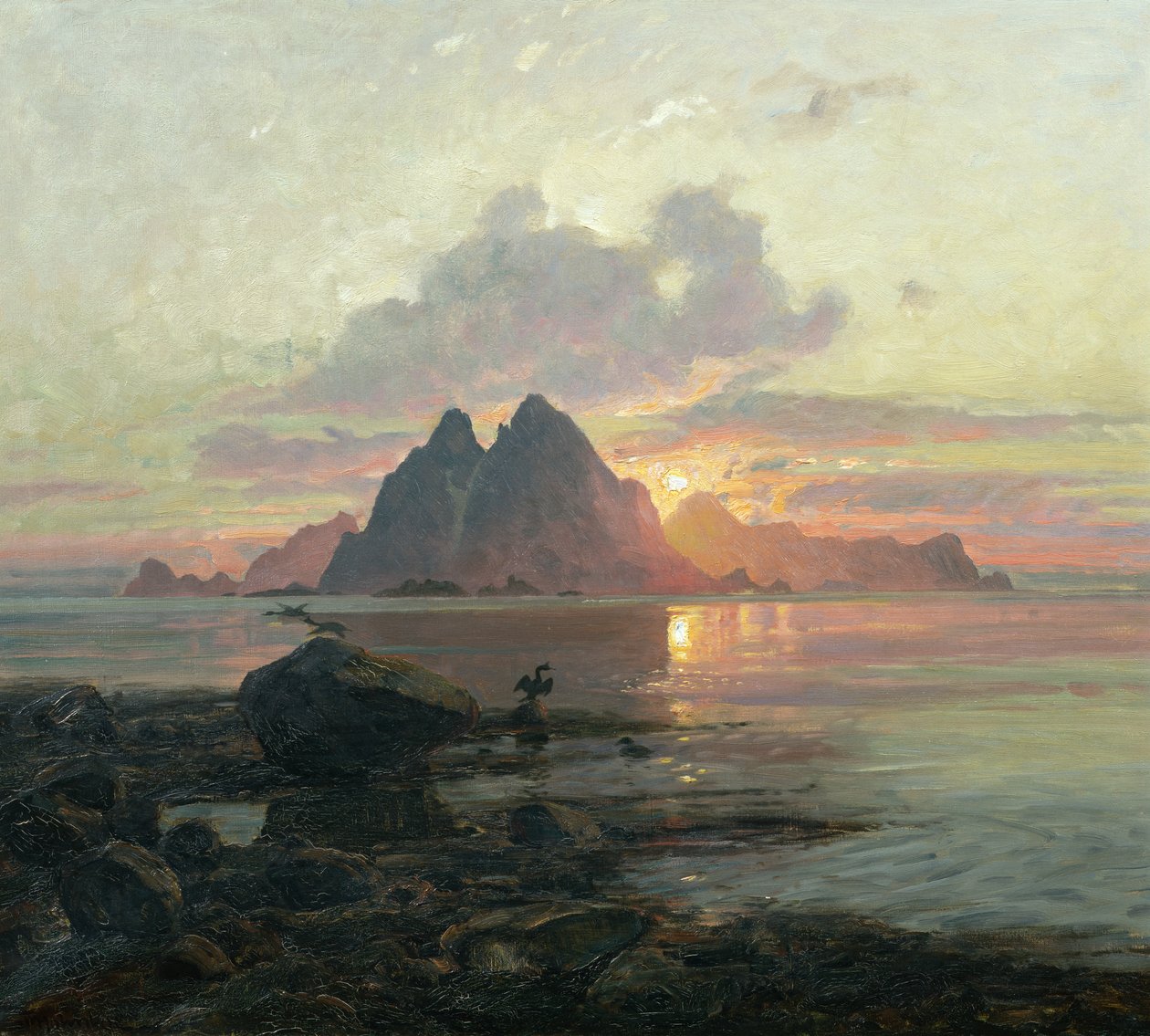 Phalacrocoarax aristotelis i midnatssol af Thorolf Holmboe