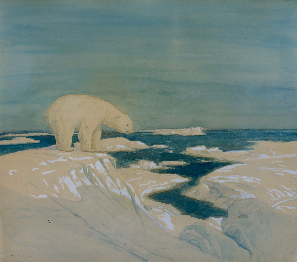 Isbjørn (akvarel på papir) af Thorolf Holmboe