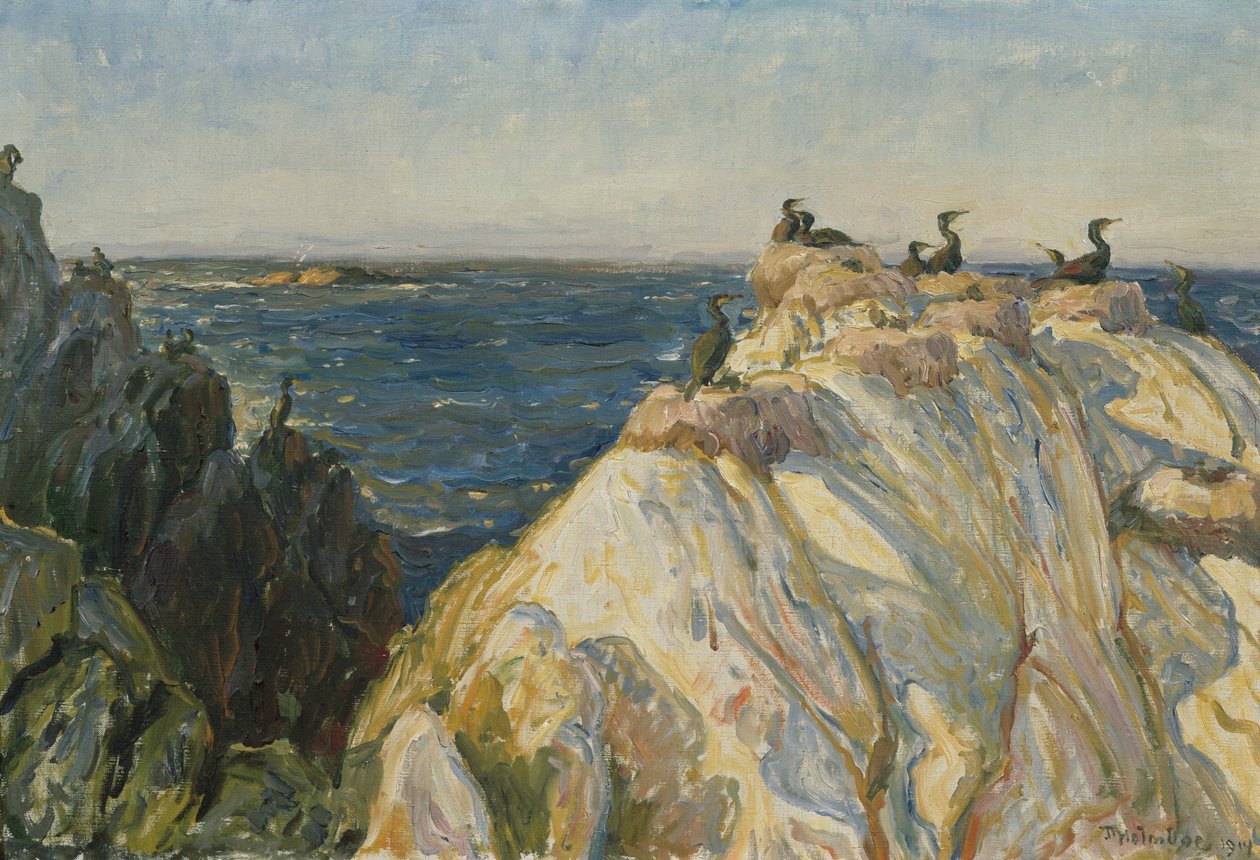 Havfugl af Thorolf Holmboe