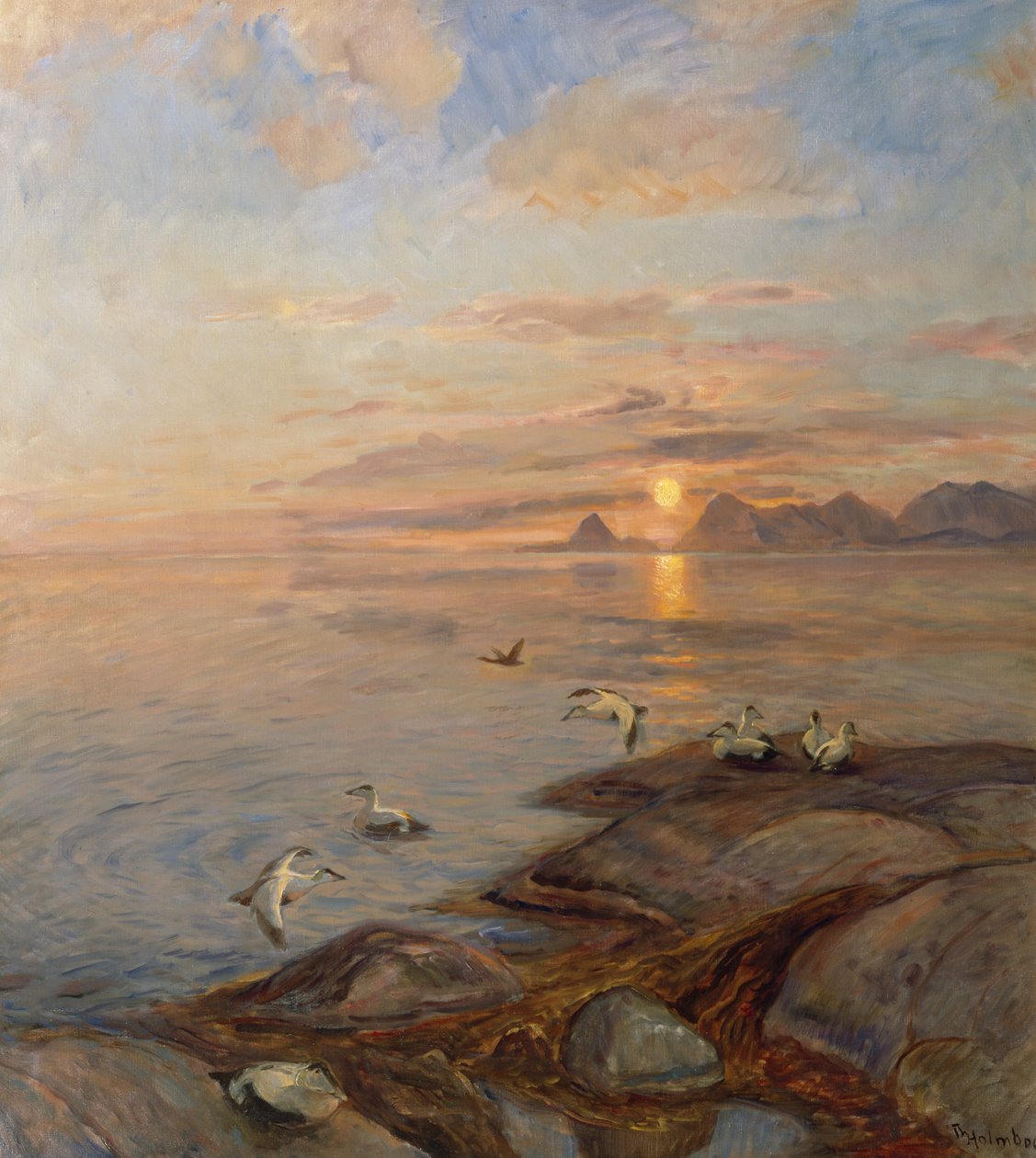 Havfugle i midnatssol (olie på lærred) af Thorolf Holmboe