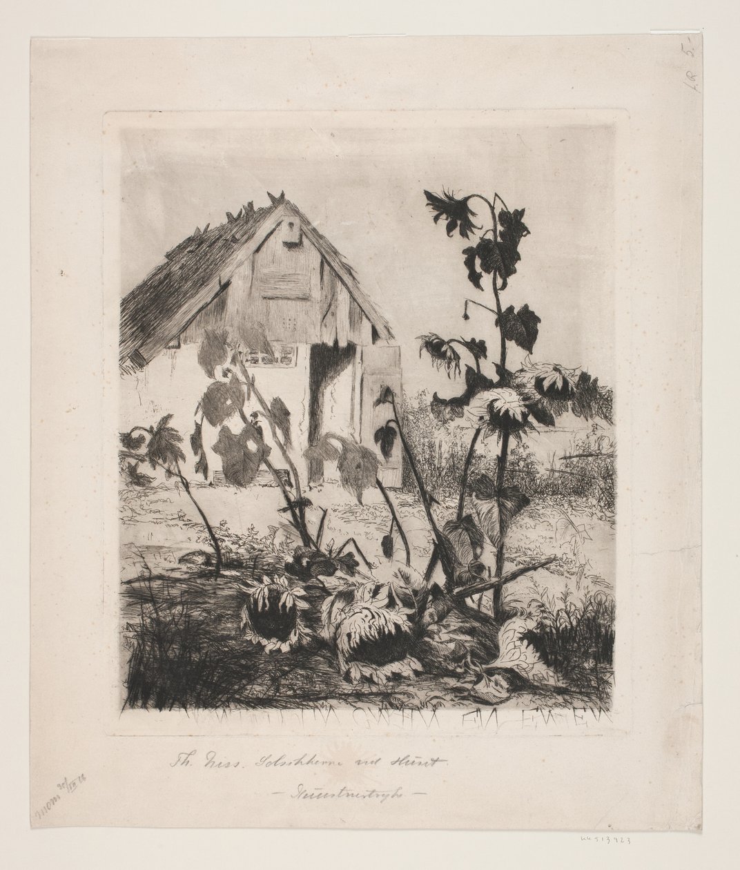Solsikkerne ved huset af Thorvald Niss