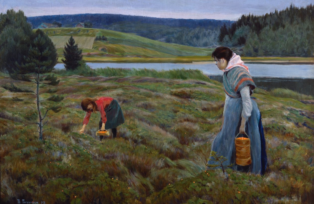 Plukker multebær af Thorvald Torgersen