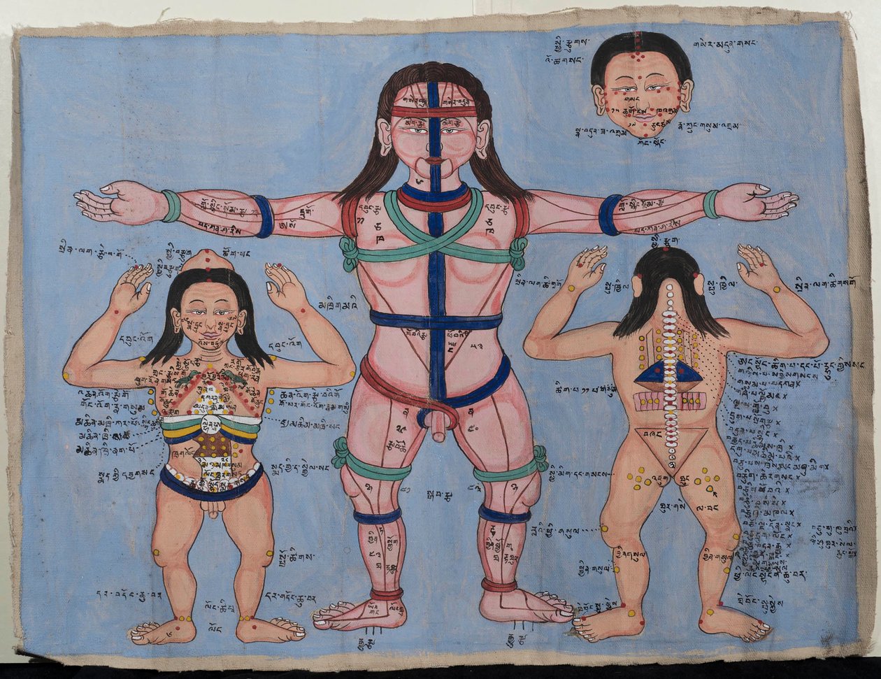 Anatomisk diagram (wc på lærred) af Tibetan School