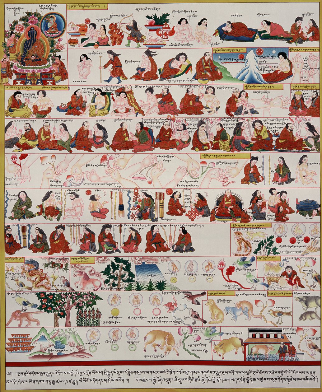 Manuskript om tibetansk medicin af Tibetan School