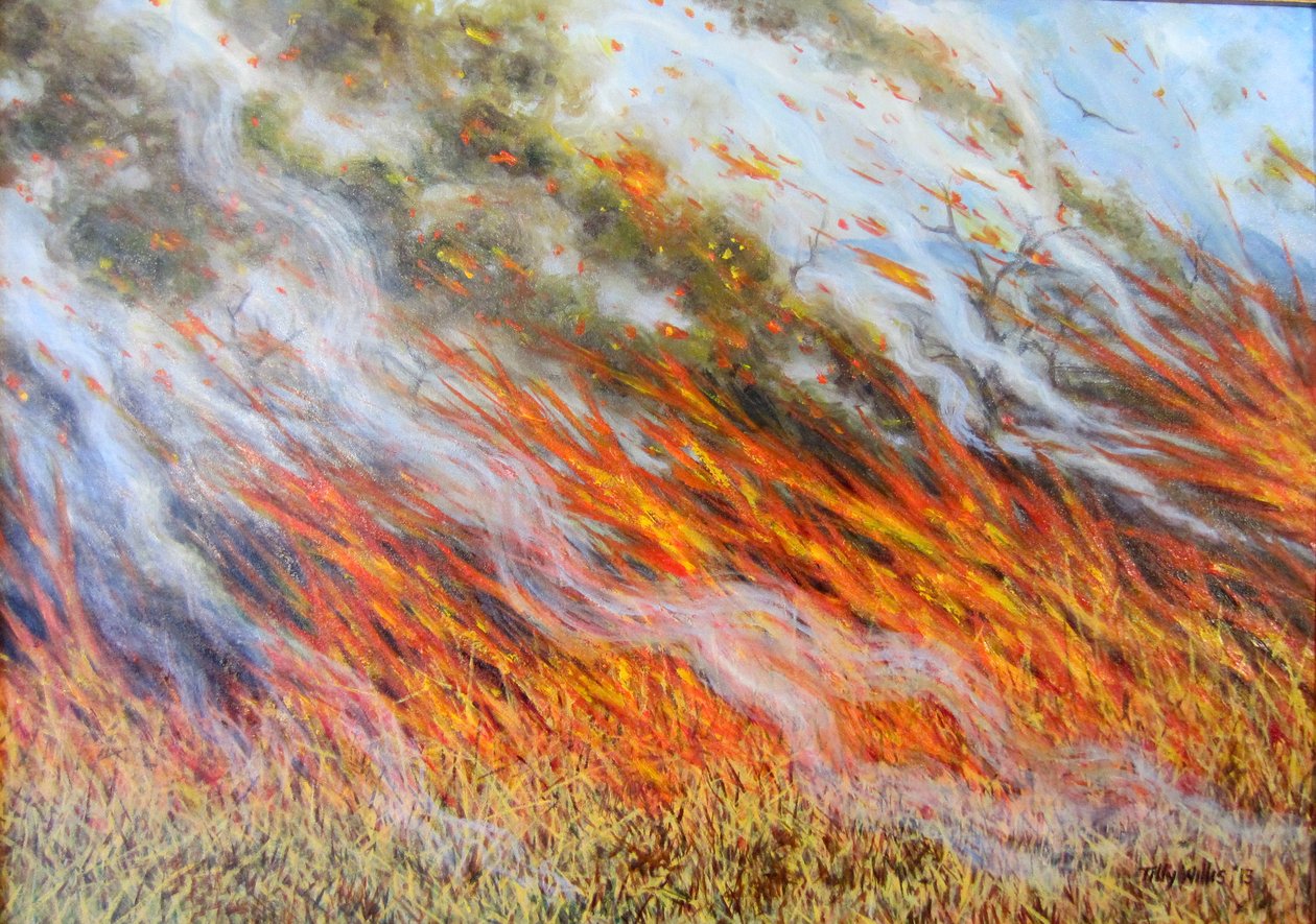 Bushfire Inferno, 2014, af Tilly Willis