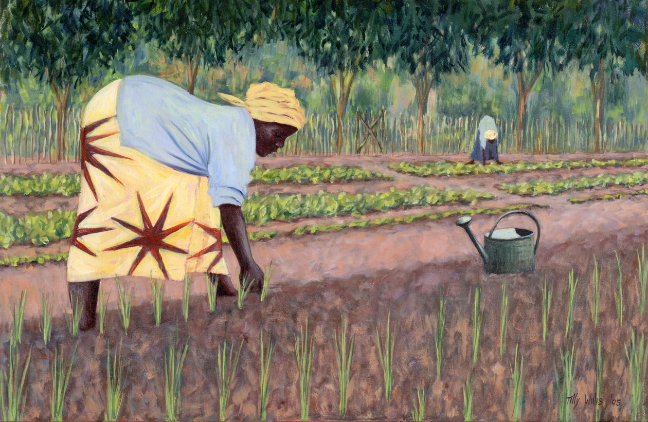 Plante løg, 2005 af Tilly Willis