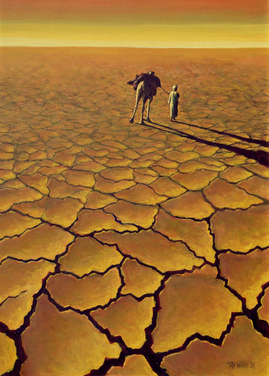 Rejsen i Sahara, 1995 af Tilly Willis