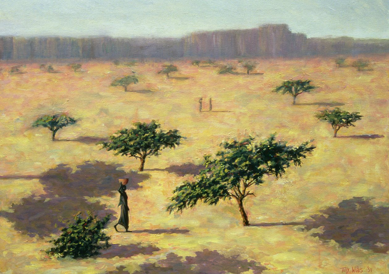 Sahellandskab, Mali, 1991 af Tilly Willis