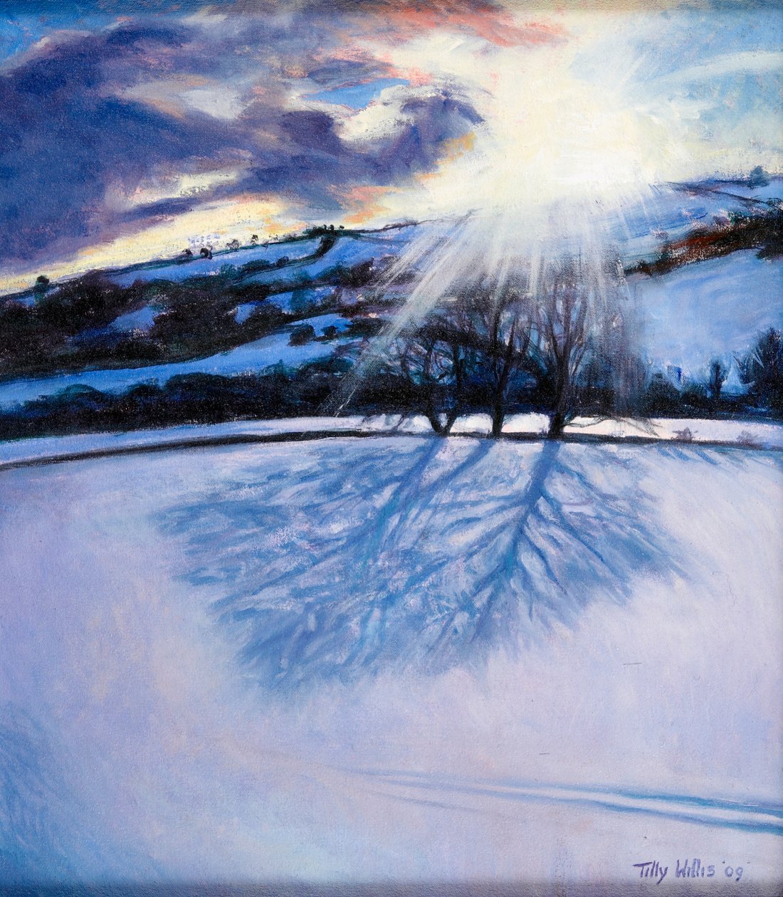 Snow Shadows, 2009 af Tilly Willis