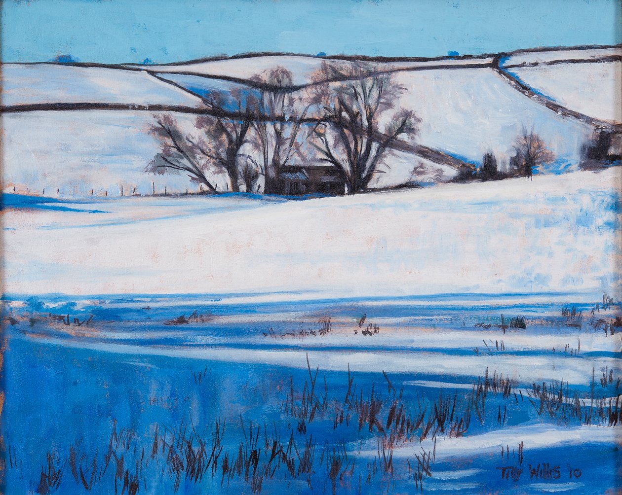 Snow Shadows, 2010 af Tilly Willis