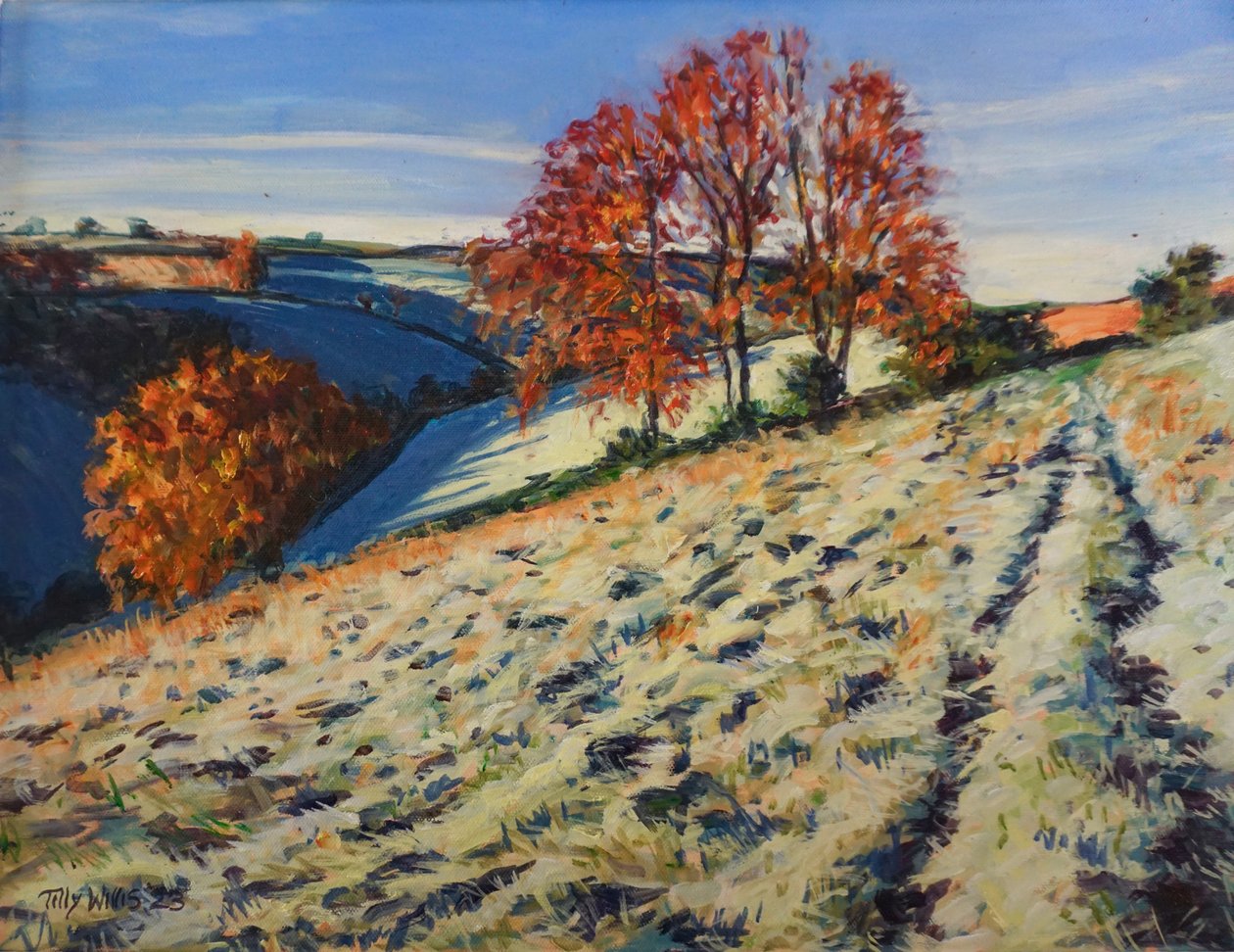 Autumn Frost, 2023 (olie på plade) af Tilly Willis