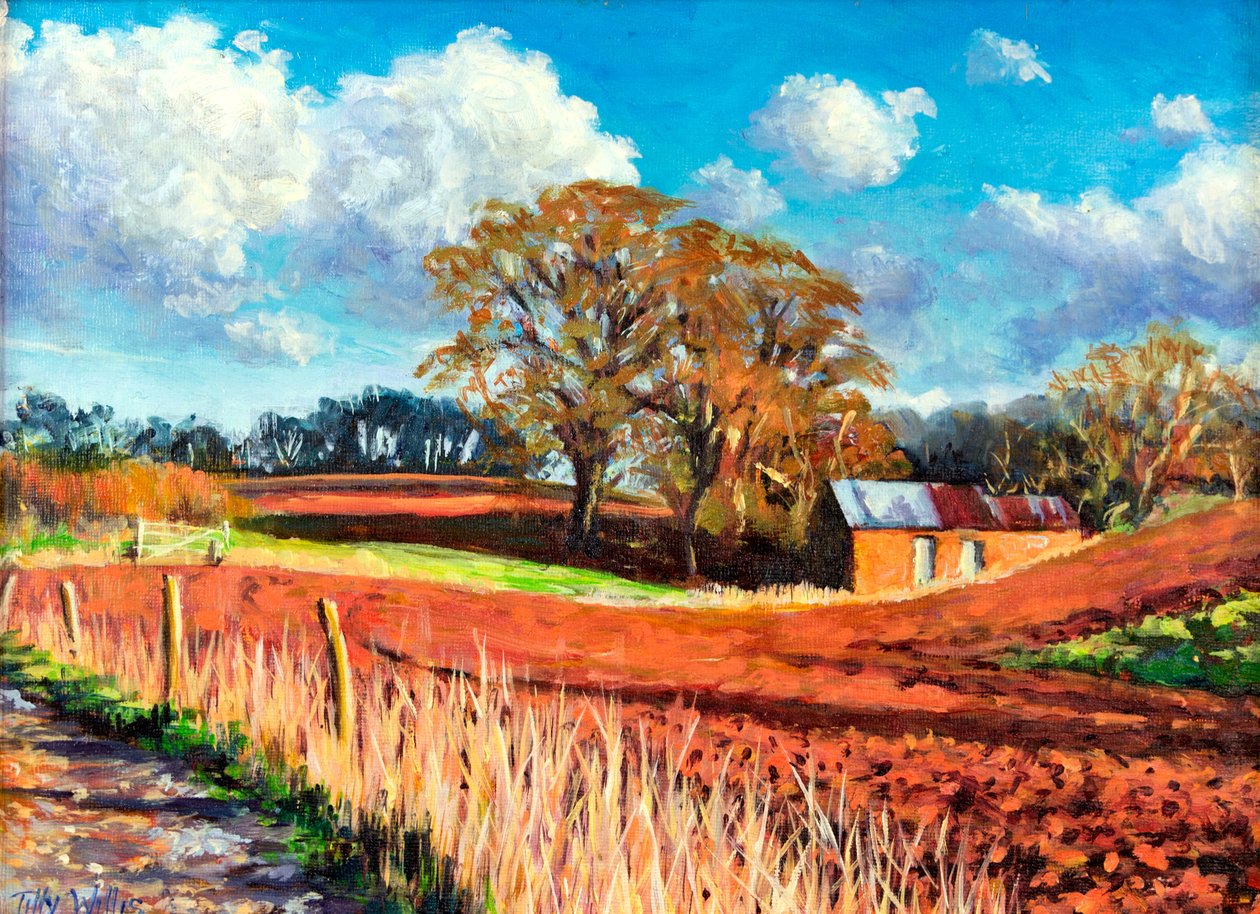 Country Barn, 2014, af Tilly Willis