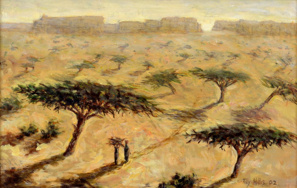 Sahellandskab, 2002 af Tilly Willis