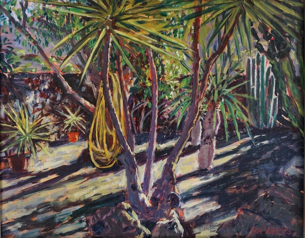 Spanish Cactus Garden, 2023 (olie på plade) af Tilly Willis