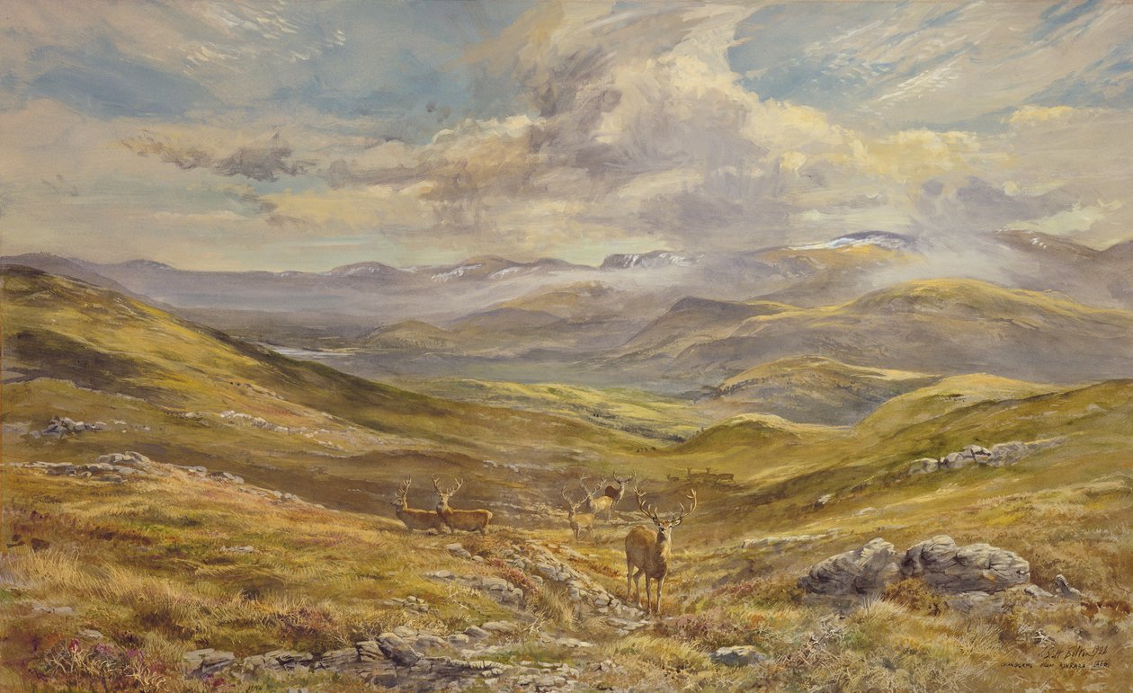 Cairngorms fra Kinrara, 1988 (wc) af Tim Scott Bolton