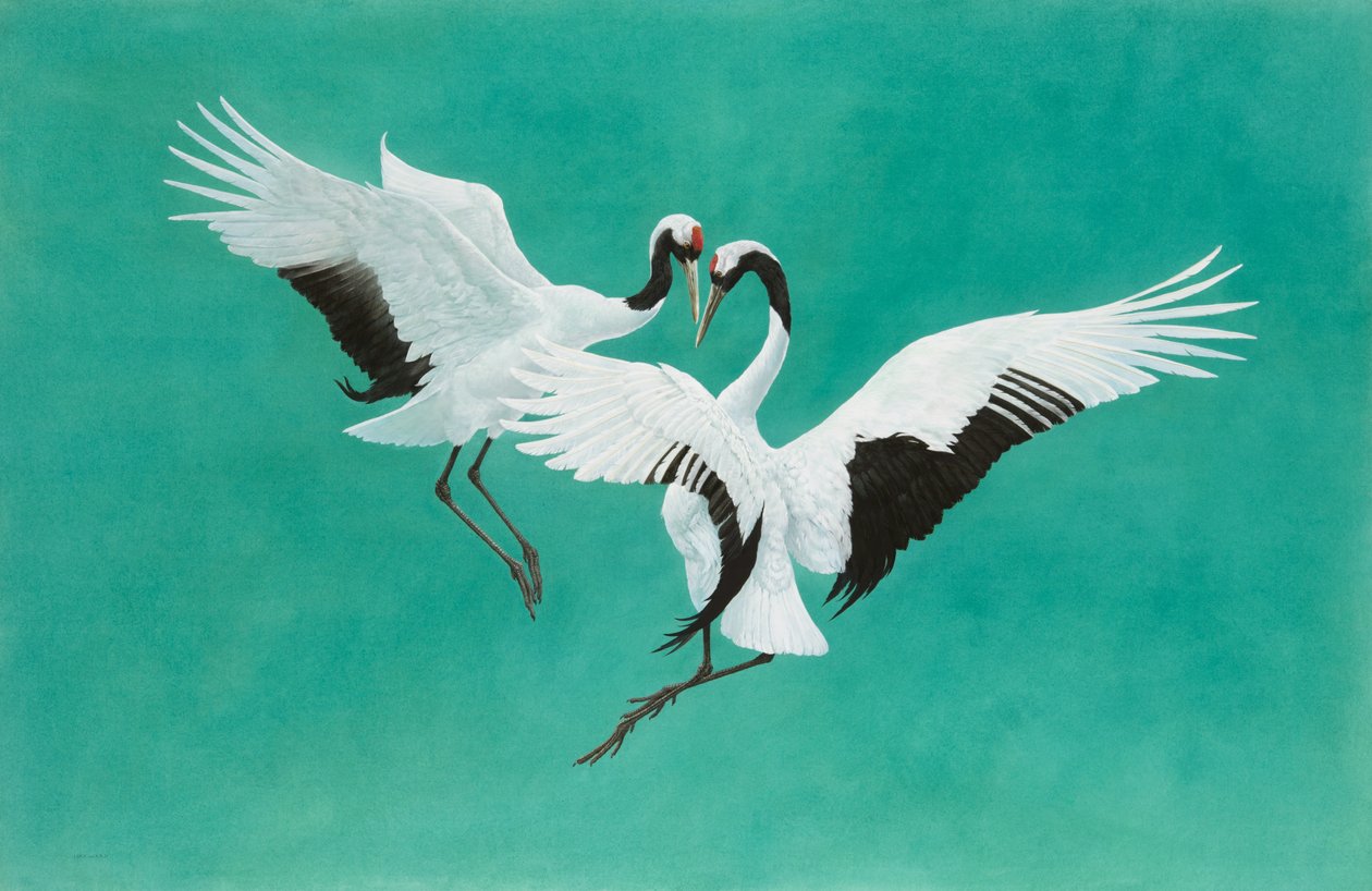 The Dance-Green, akvarel og gouache på Arches 300gsm papir, 104,1 x 160 cm af Tim Hayward
