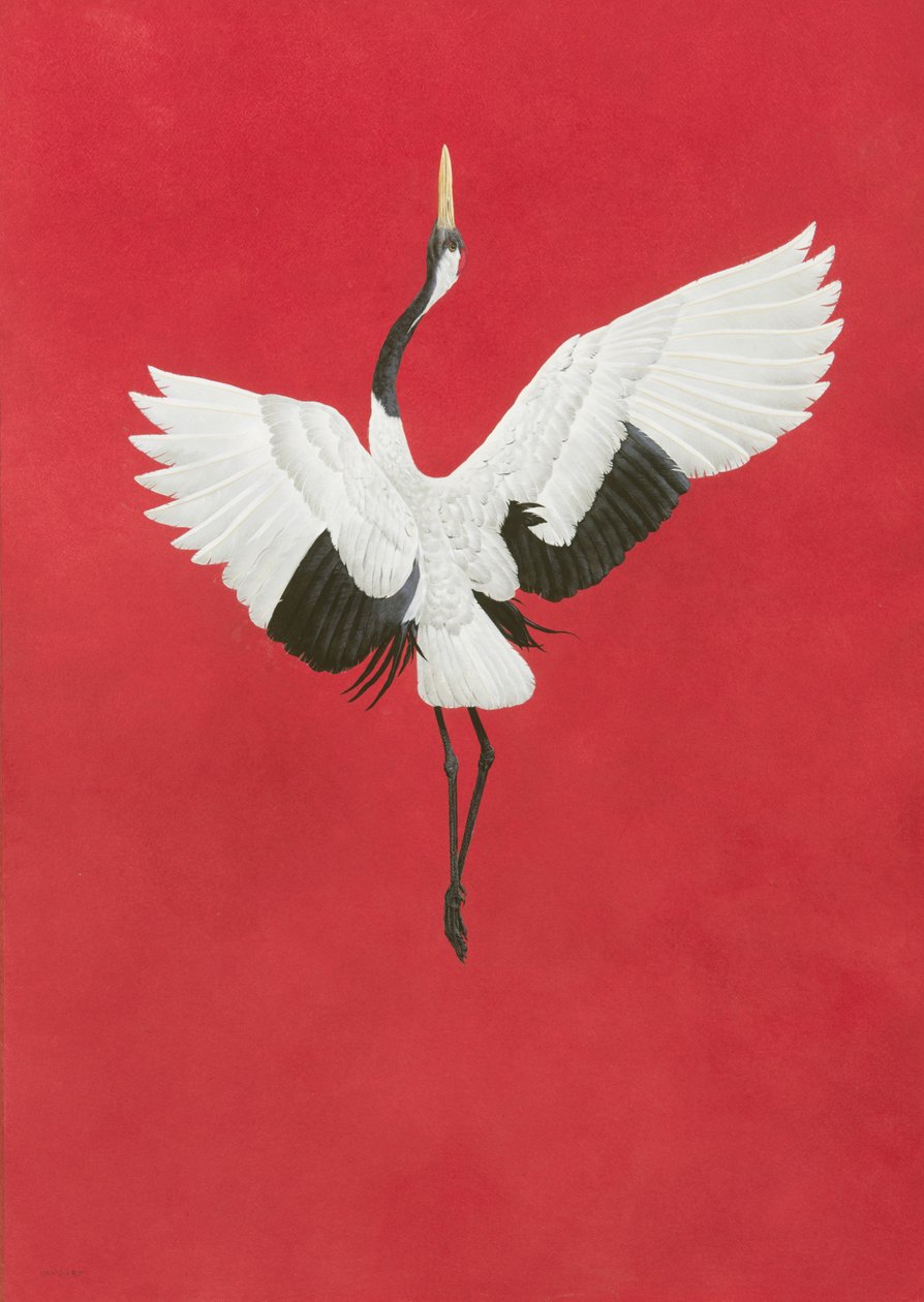 Dansen-Rød, akvarel og gouache på buer 640gsm papir, 96 x 66 cm af Tim Hayward