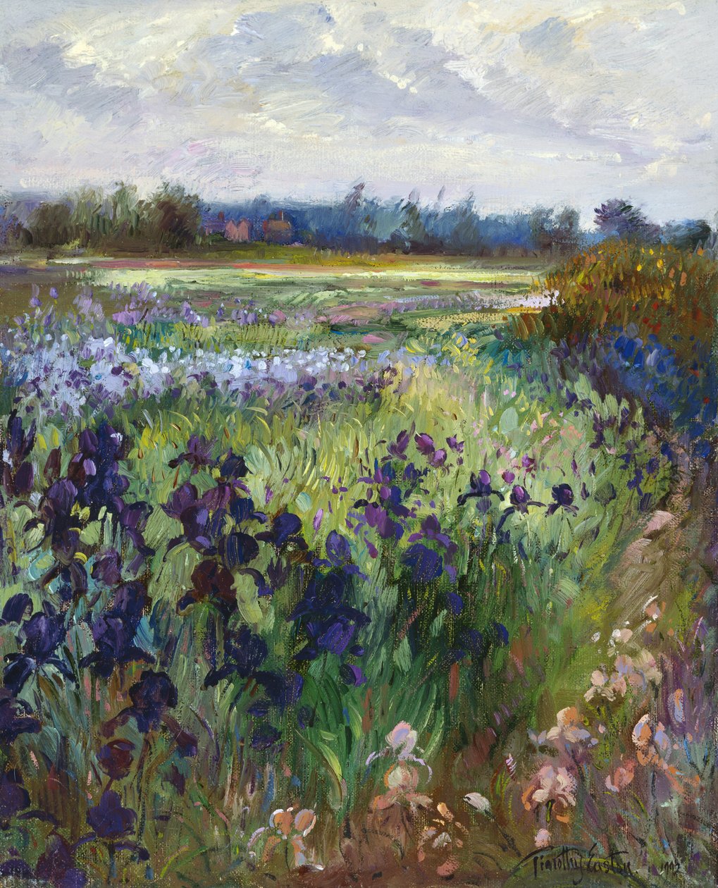 Across Great Green, Burgate, 1992 af Timothy Easton