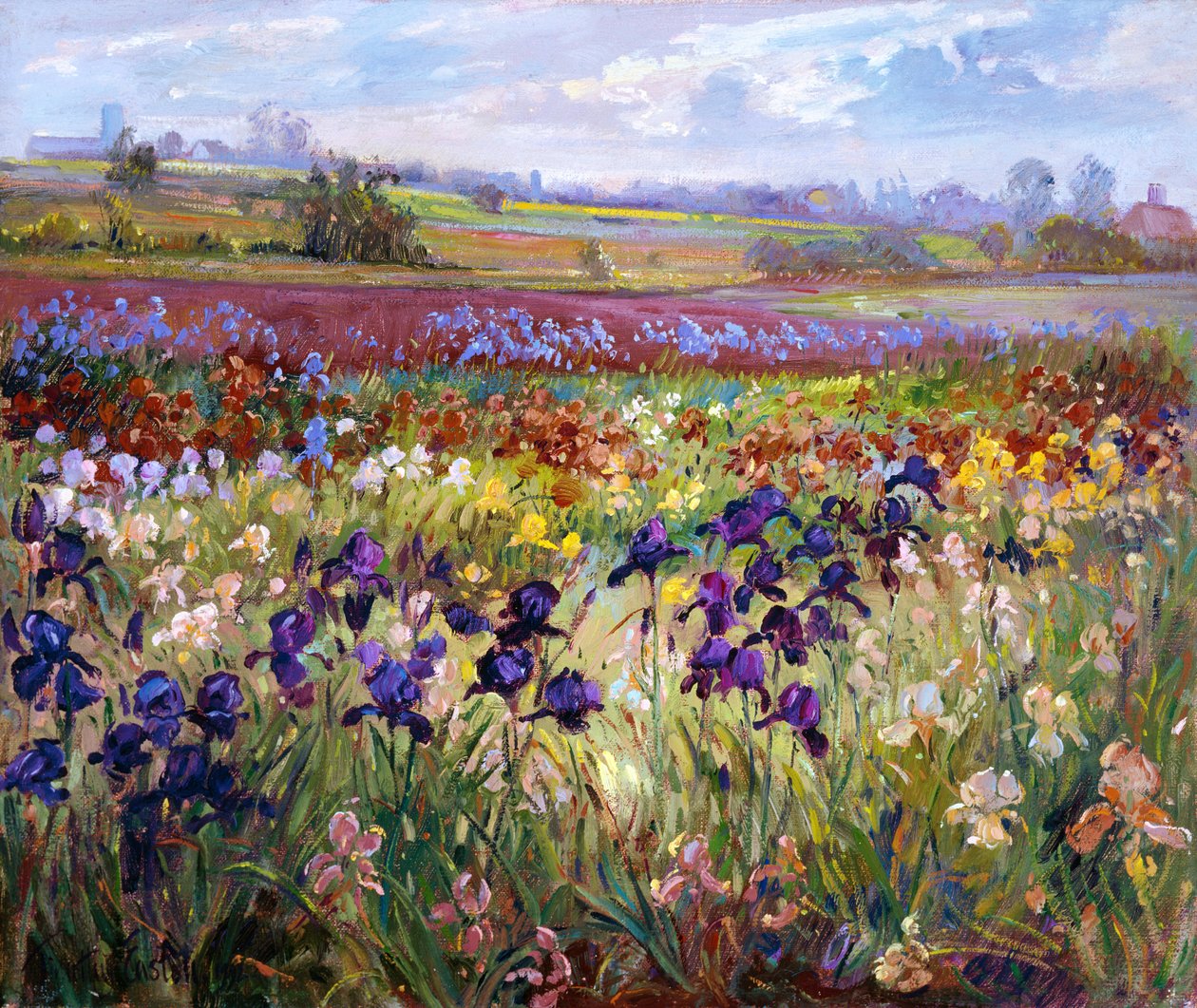 Over til Burgate af Timothy Easton