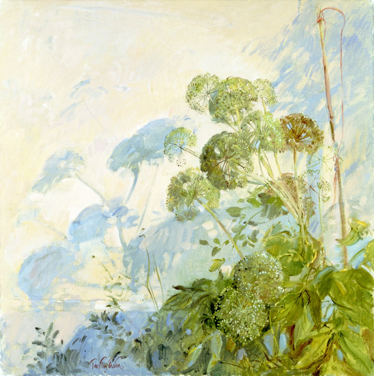 Angelica Shadows af Timothy Easton