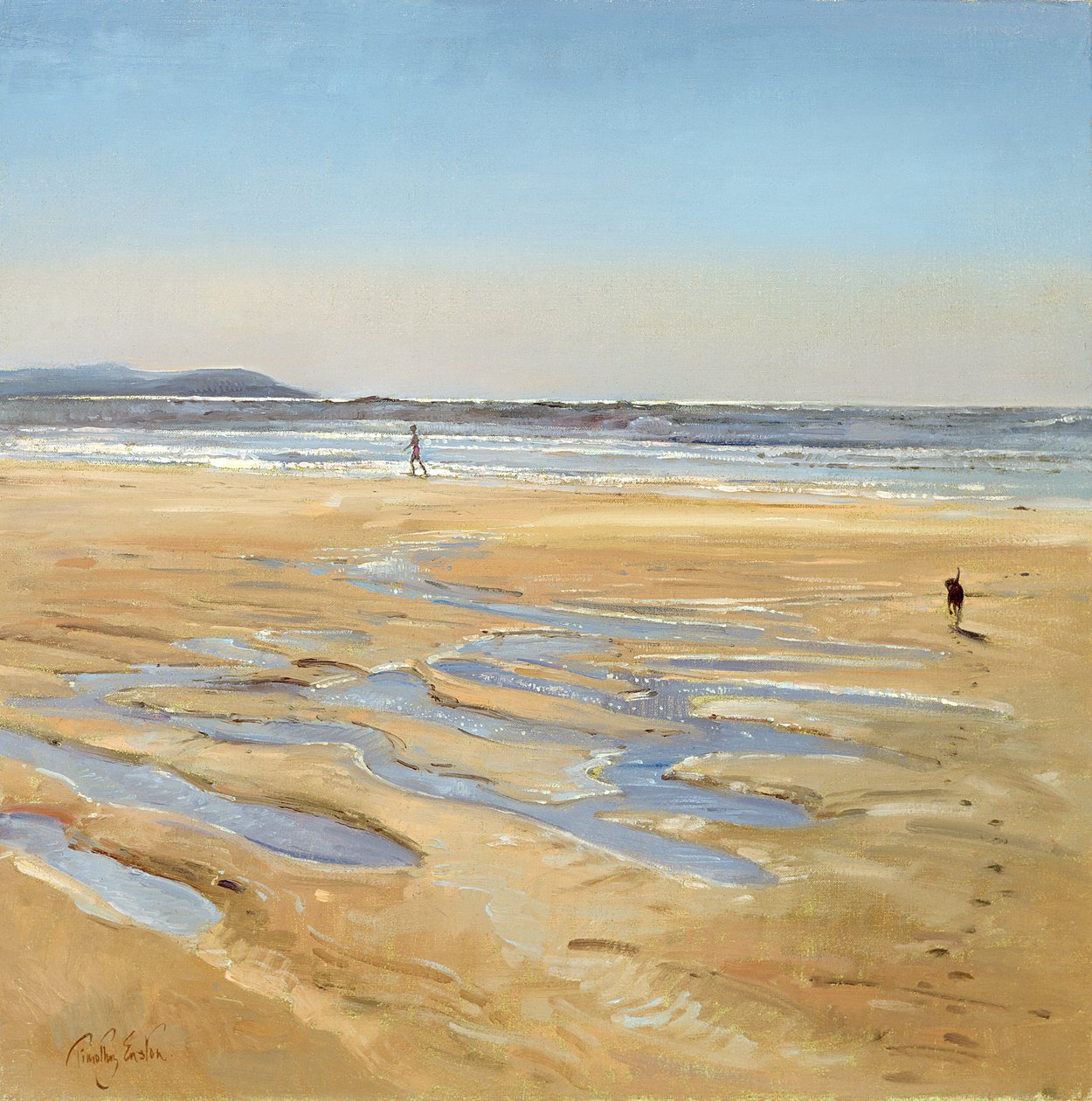 Strandvogne af Timothy Easton