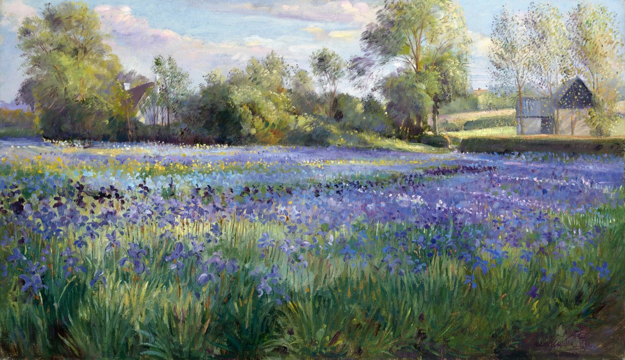 Dappled Light on the Iris Field, 1991 af Timothy Easton