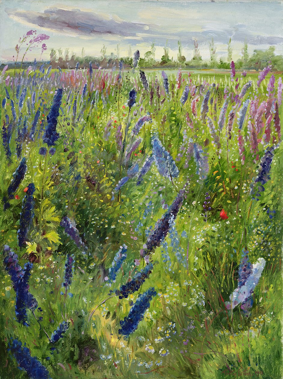 Delphiniums og Emerging Sun, 1991 af Timothy Easton