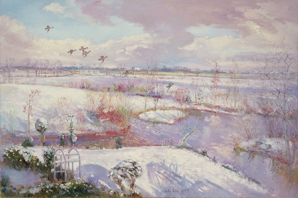 Flight Down, 1993 af Timothy Easton