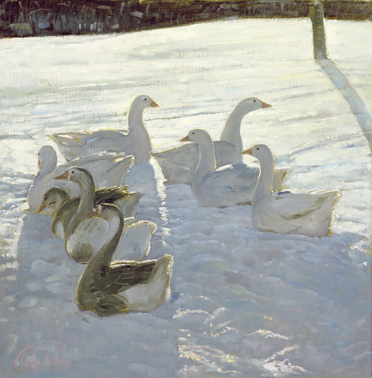 Gæs mod Lyset af Timothy Easton