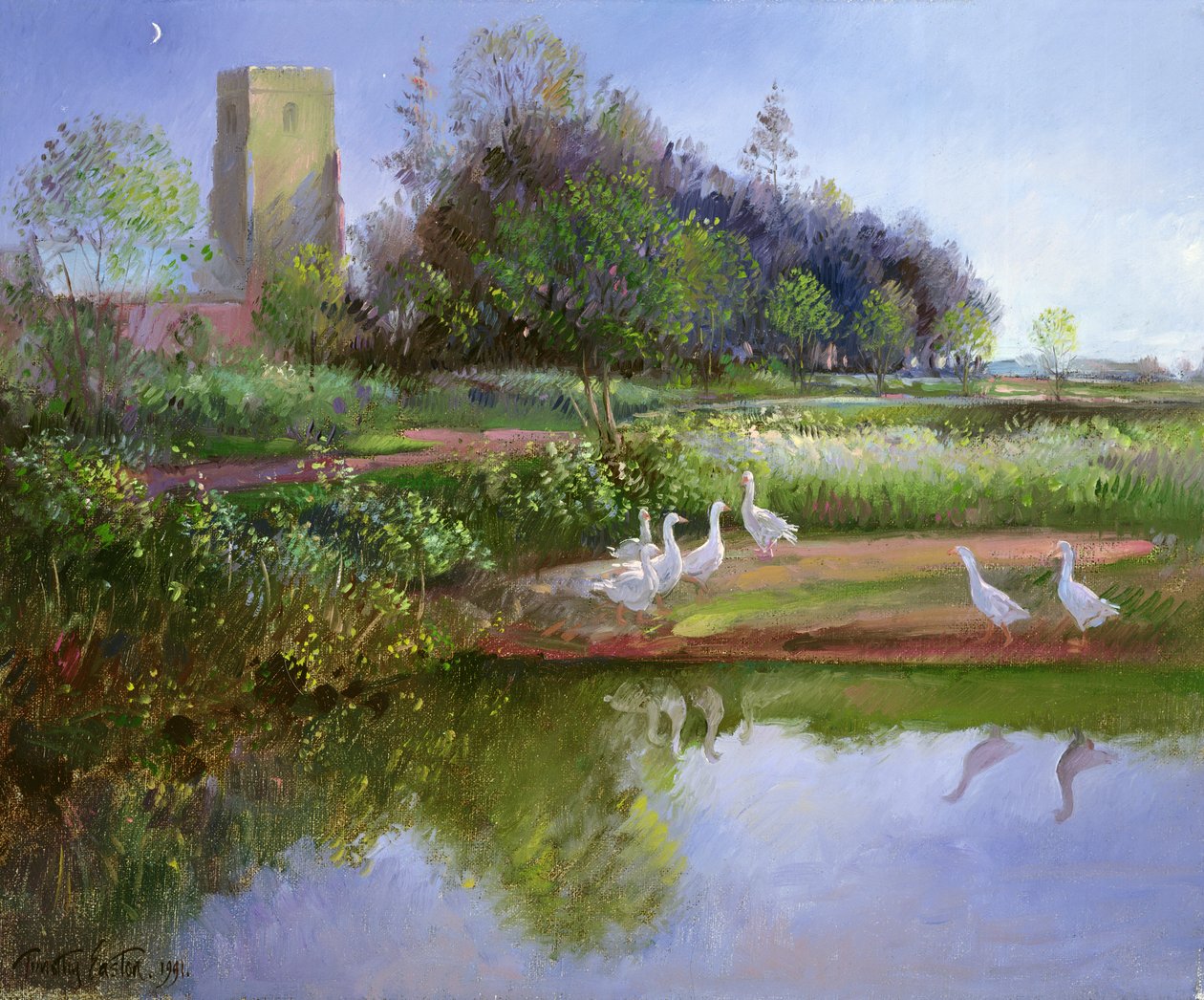 Gæs ved solnedgang, 1991 af Timothy Easton