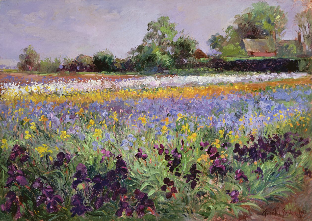 Iris Field og to hytter af Timothy Easton
