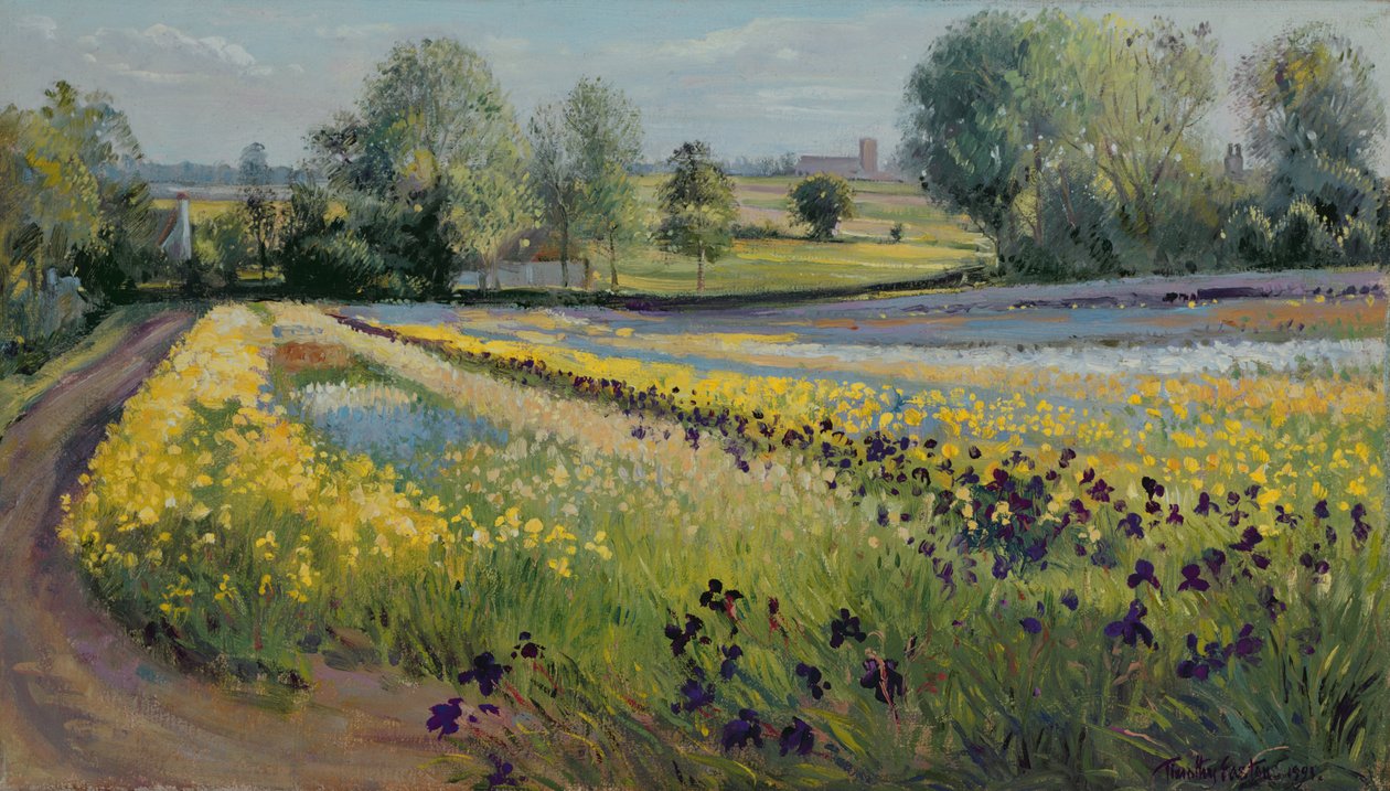 Iris Slope, 1991 af Timothy Easton